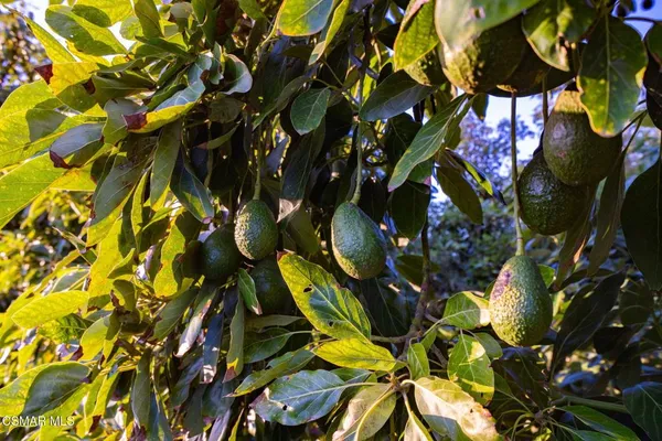 a view of city and mountain