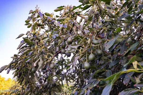 $8,990,000 | 12072 Broadway Road, Moorpark, CA 93021