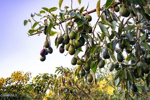 a view of swimming pool from a balcony