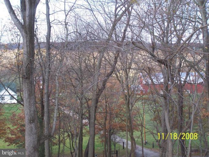 7950 Estevez Road La Plata, MD 20646 - Photo 29 of 30 View from house
