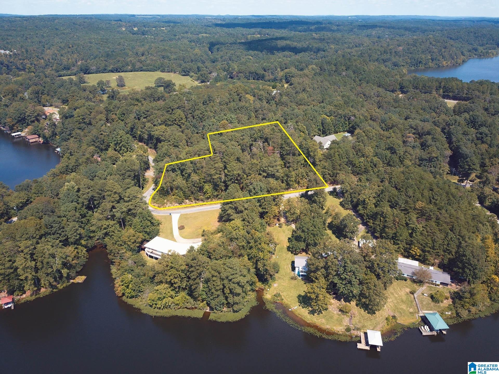 0 Lakeshore Lane, Unit 4 Oneonta, AL 35121 - Photo 2 of 49