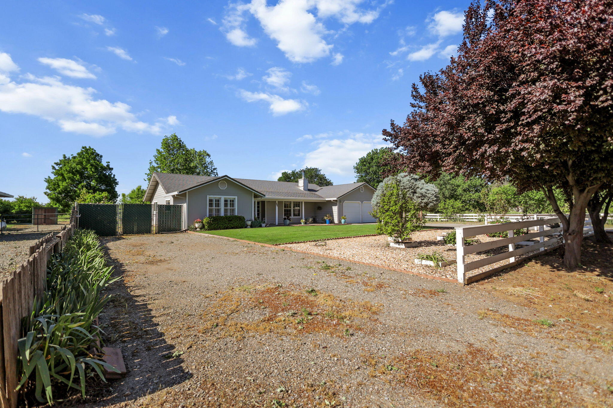 23290 Hogsback Road Red Bluff, CA 96080 - Photo 51 of 58 56-web-or-mls-8Q0A2634