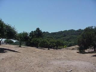 8900 Chalk Hill Road Healdsburg, CA 95448 - Photo 2 of 11 a view of outdoor space and trees