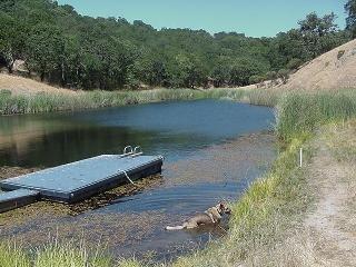 8900 Chalk Hill Road Healdsburg, CA 95448 - Photo 4 of 11 an aerial view of a house with a lake view