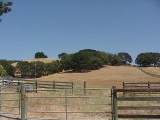 8900 Chalk Hill Road Healdsburg, CA 95448 - Photo 5 of 11 a view of a terrace