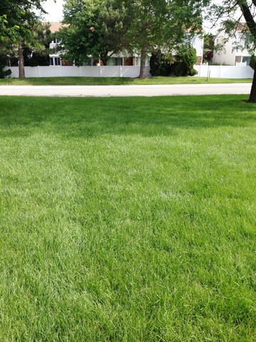 714 Inverrary Lane Deerfield, IL 60015 - Photo 16 of 17 a view of a field of grass and trees