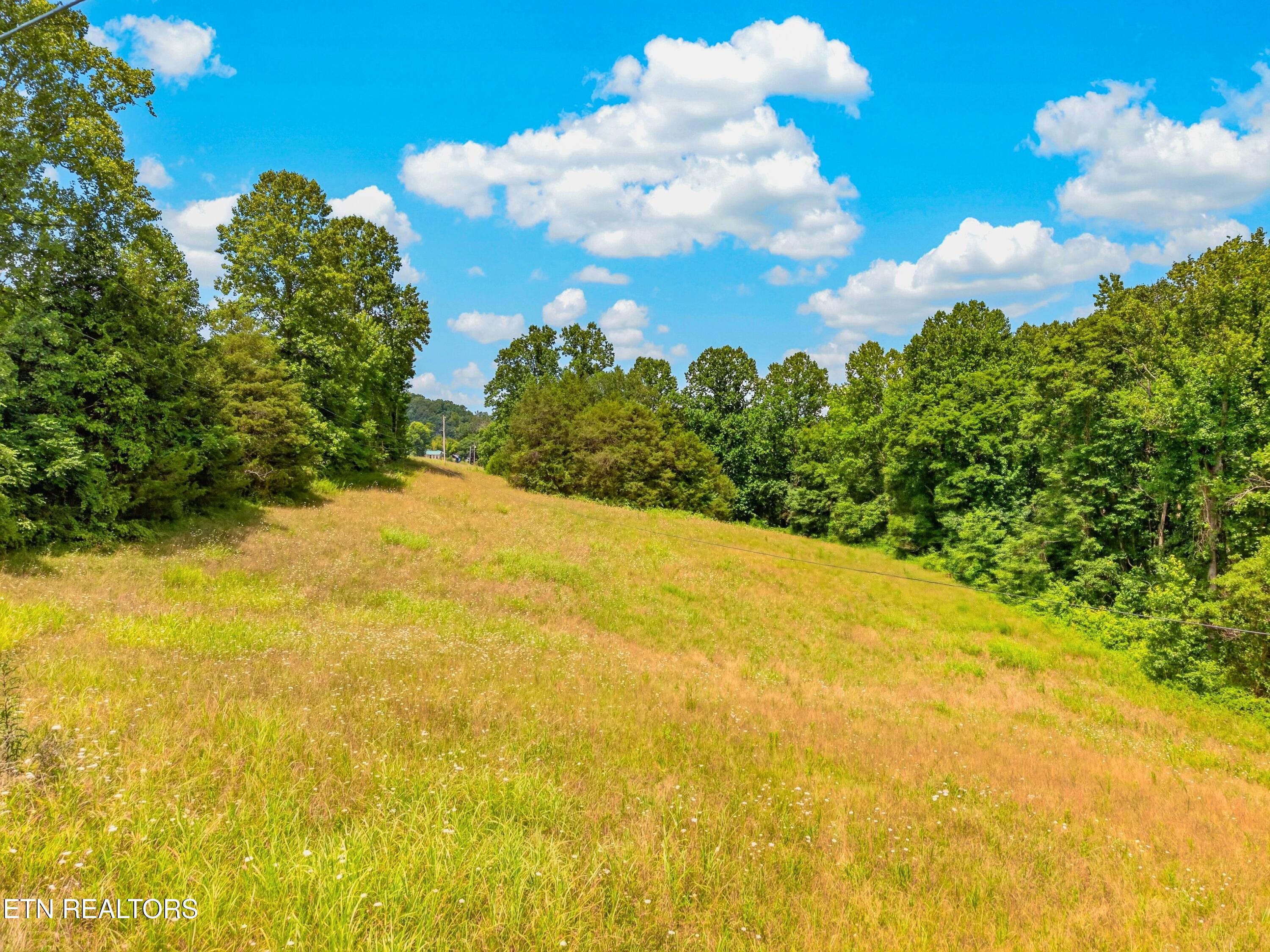 Tbd Ferguson Ridge Road Tazewell, TN 37879 - Photo 18 of 42 028