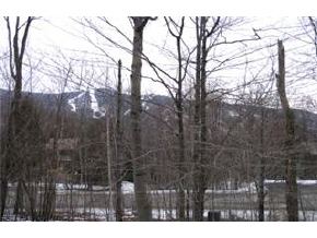 25 E Clearbrook Road, Unit 25 Lincoln, NH 03251 - Photo 3 of 9