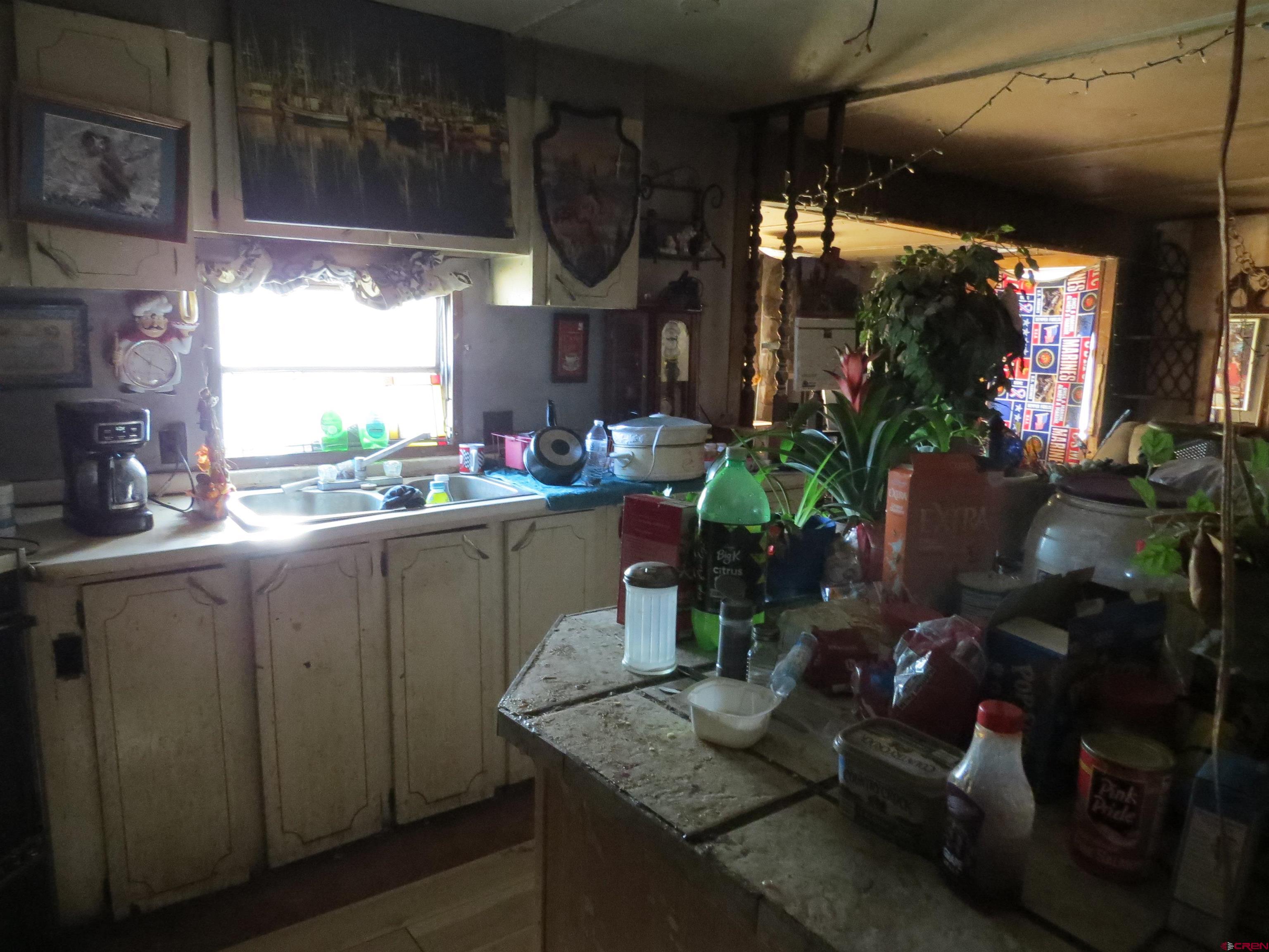 22203 Canal Street Austin, CO 81410 - Photo 13 of 20 a kitchen with sink a window and potted plants