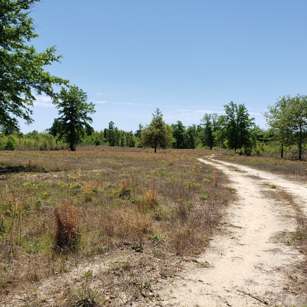1604 Oak Ridge Club Road Windsor, SC 29856 - Photo 6 of 6