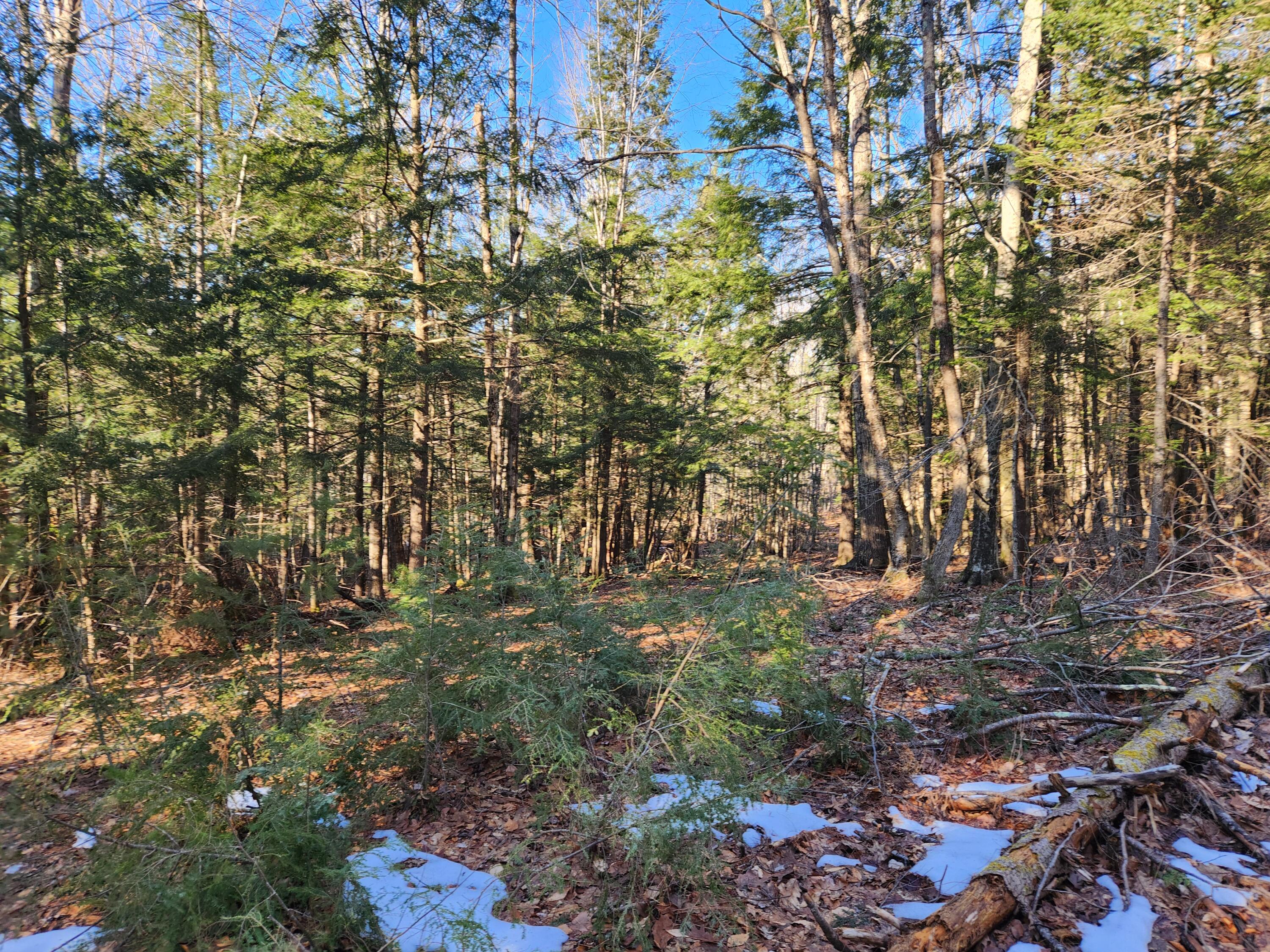55 A A To Z Road Greene, ME 04236 - Photo 50 of 54 20240308_152429