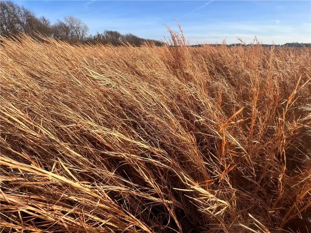 $566,000 | South 10th Street, Parsons, KS 67357