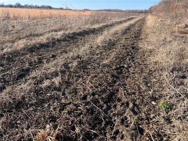 $566,000 | South 10th Street, Parsons, KS 67357