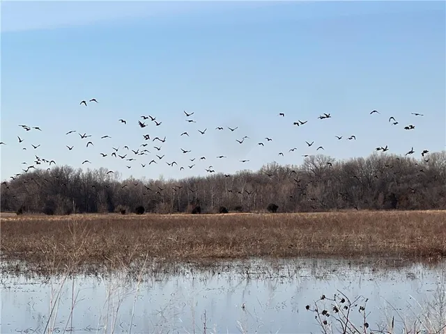 $566,000 | South 10th Street, Parsons, KS 67357