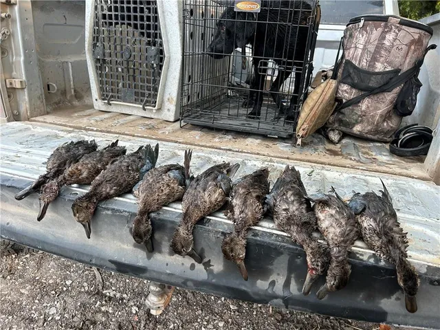 $566,000 | South 10th Street, Parsons, KS 67357