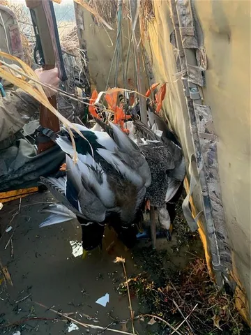 $566,000 | South 10th Street, Parsons, KS 67357