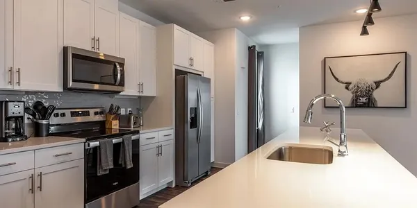 $2,999 | 1000 Fort Worth Avenue, Unit 2515, Dallas, TX 75208