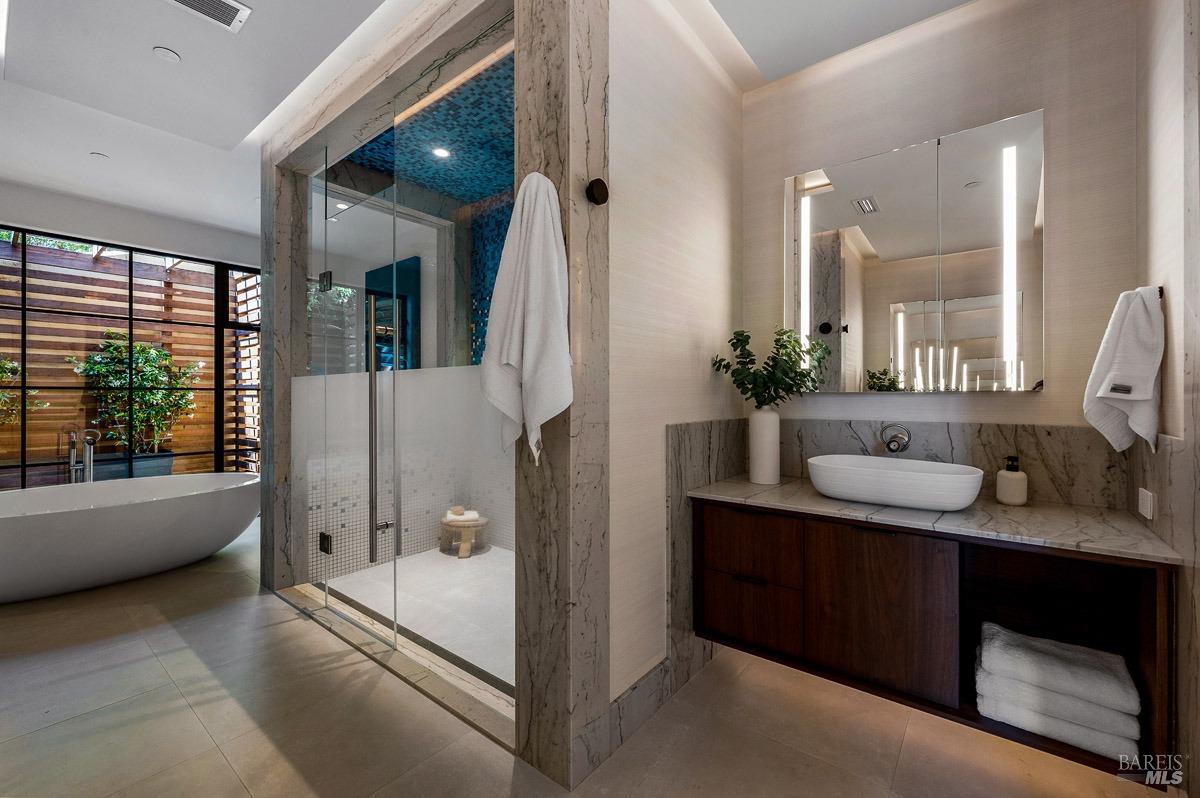 608 Seminary Drive Mill Valley, CA 94941 - Photo 39 of 67 a bathroom with a granite countertop sink a toilet and shower