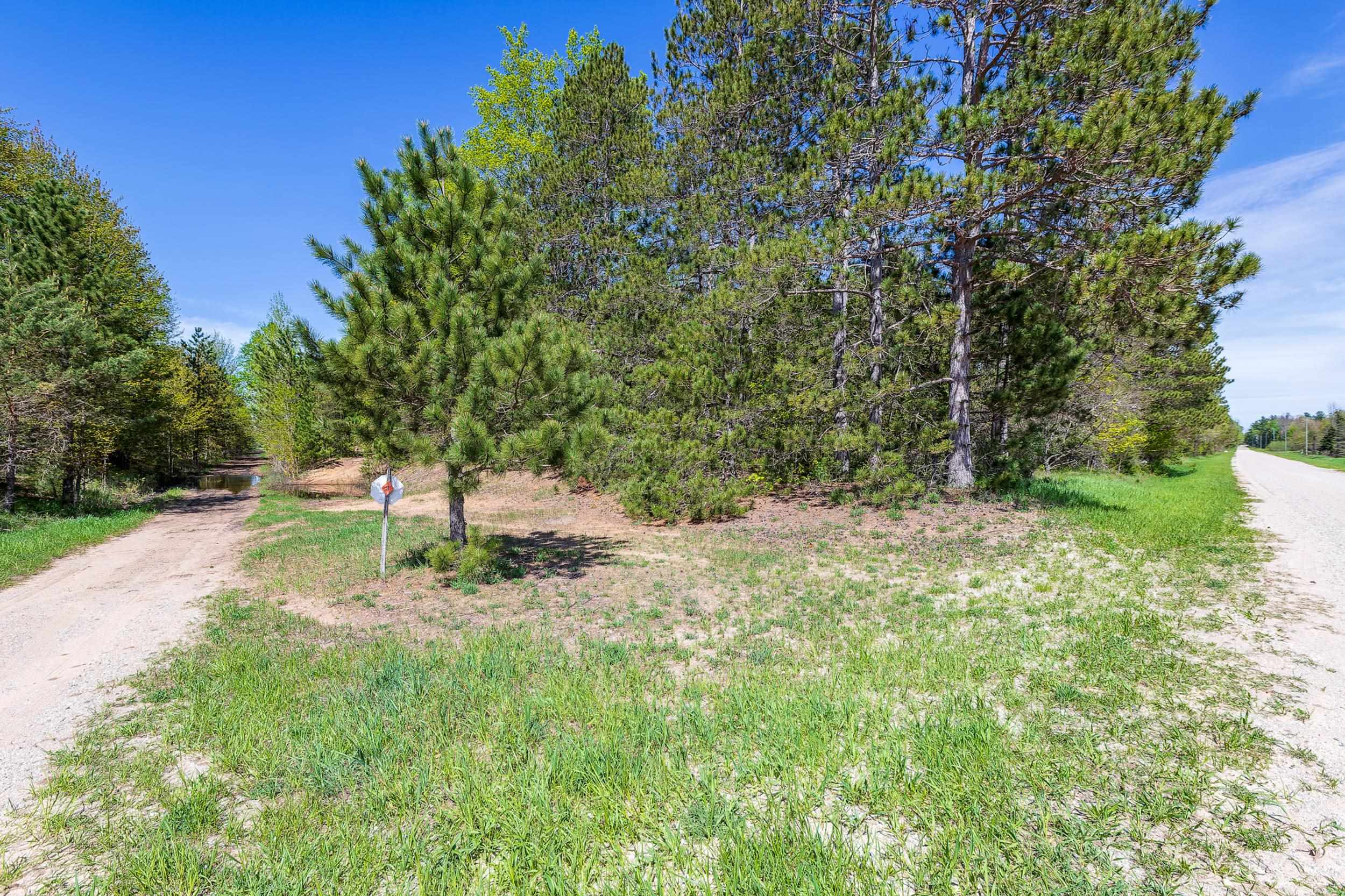 0 Makinen Road Kaleva, MI 49645 - Photo 10 of 25