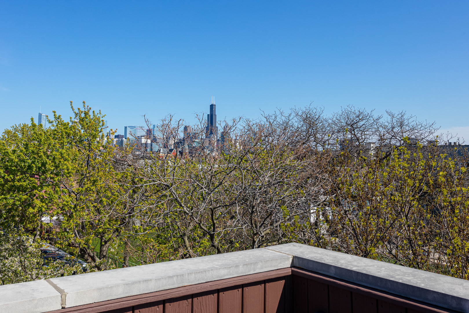 1838 West Rice Street, Unit 3 Chicago, IL 60622 - Photo 24 of 29 a view of a green field with trees in the background