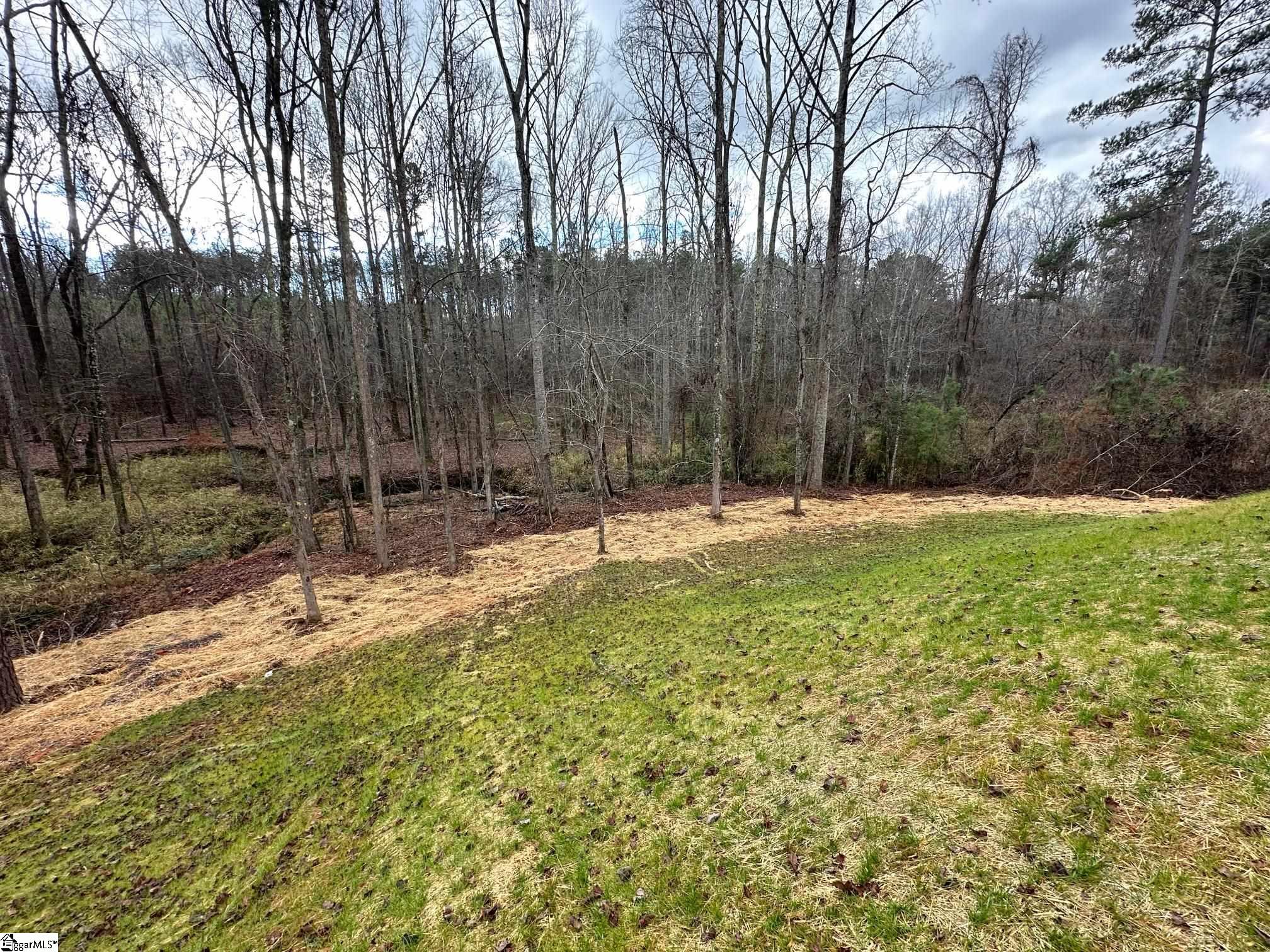 165 McBeth Road Cowpens, SC 29330 - Photo 18 of 19