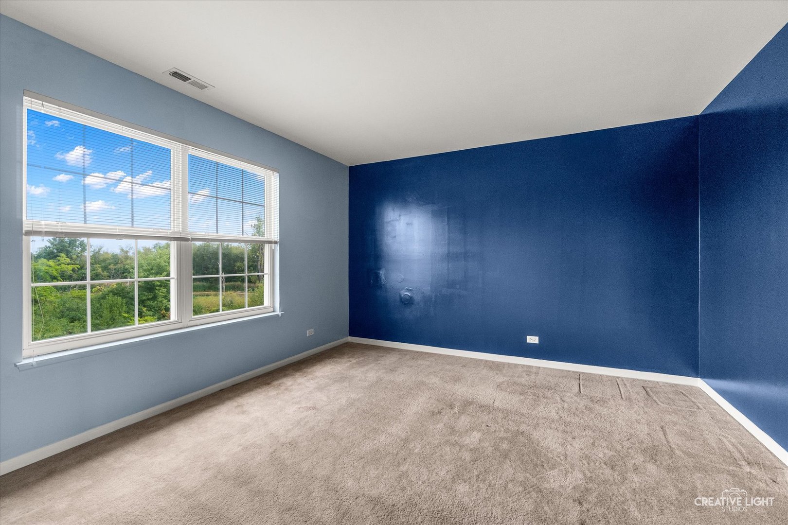 281 Boulder Court Gilberts, IL 60136 - Photo 16 of 25