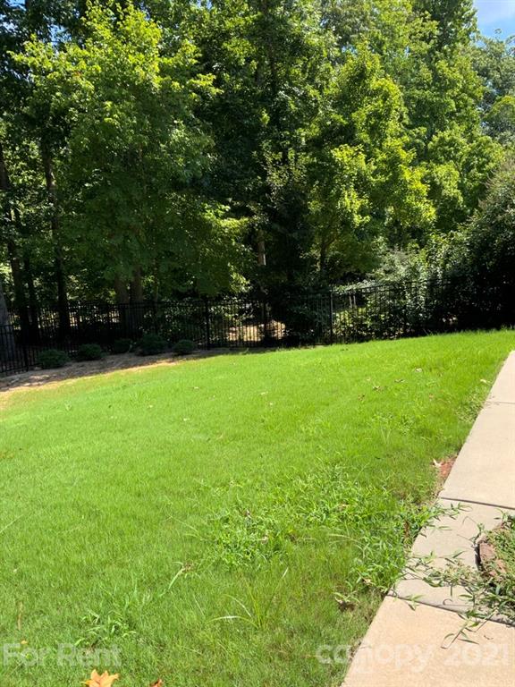 3028 Fallondale Road, Unit 894 Waxhaw, NC 28173 - Photo 23 of 27 a view of a green yard