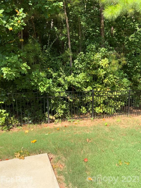 3028 Fallondale Road, Unit 894 Waxhaw, NC 28173 - Photo 24 of 27 a view of yard with tree in back