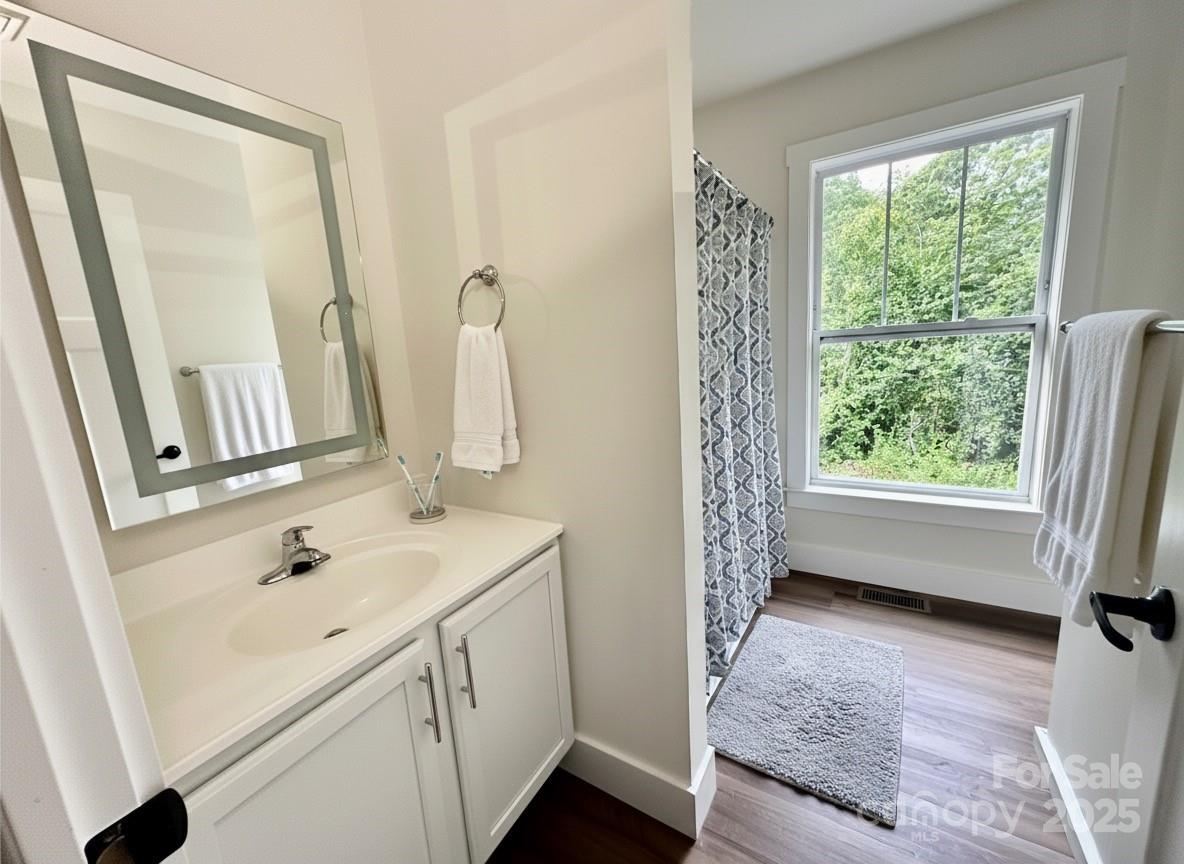 206 Cascade Rdg Road Fairview, NC 28730 - Photo 24 of 38 a bathroom with a sink a mirror and a shower