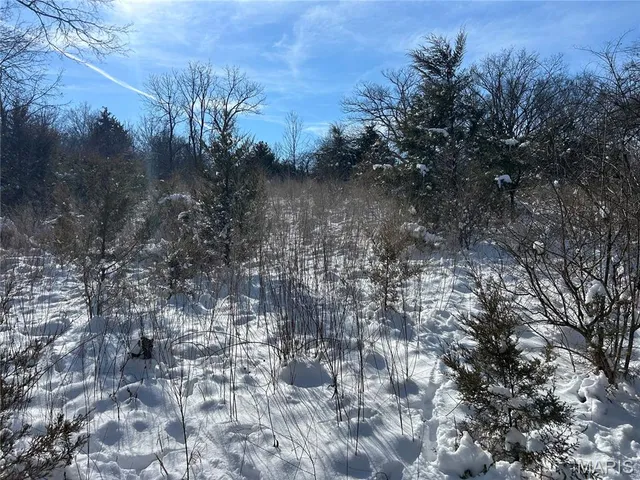 $1,850,000 | 111 O Sullivan Avenue, Eureka, MO 63069