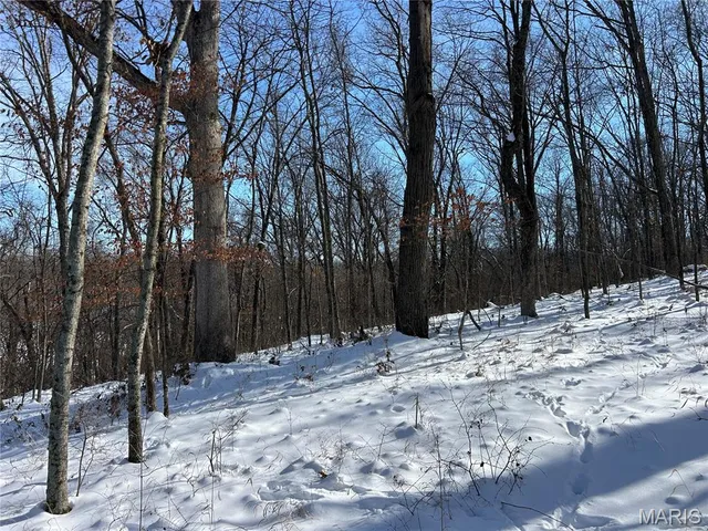 $1,850,000 | 111 O Sullivan Avenue, Eureka, MO 63069