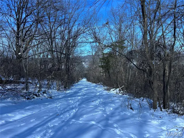 $1,850,000 | 111 O Sullivan Avenue, Eureka, MO 63069