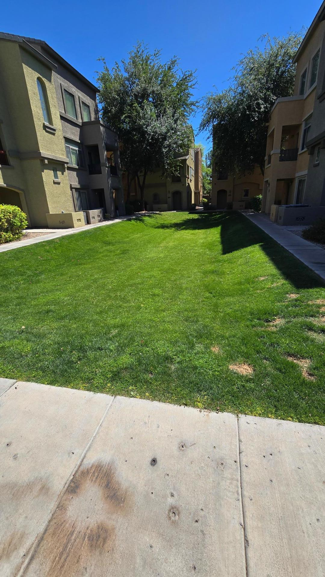 16825 North 14th Street, Unit 21 Phoenix, AZ 85022 - Photo 22 of 22 Photo #23