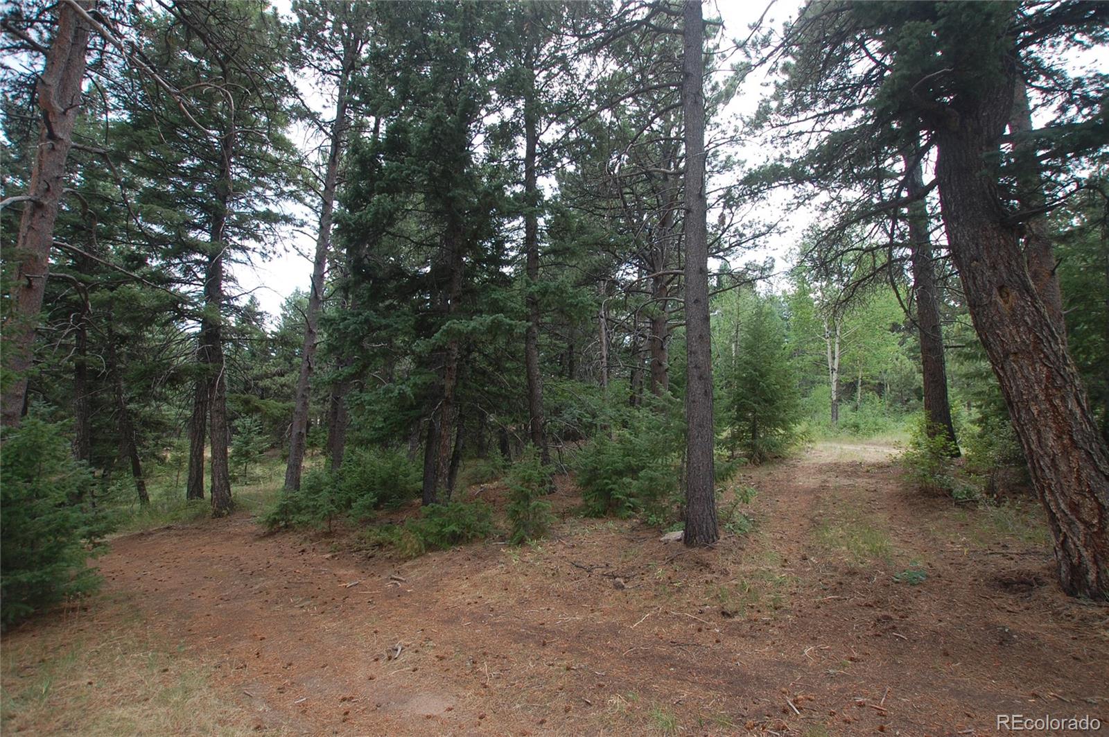 Hillview Road Morrison, CO 80465 - Photo 3 of 10 Gallery Image 3