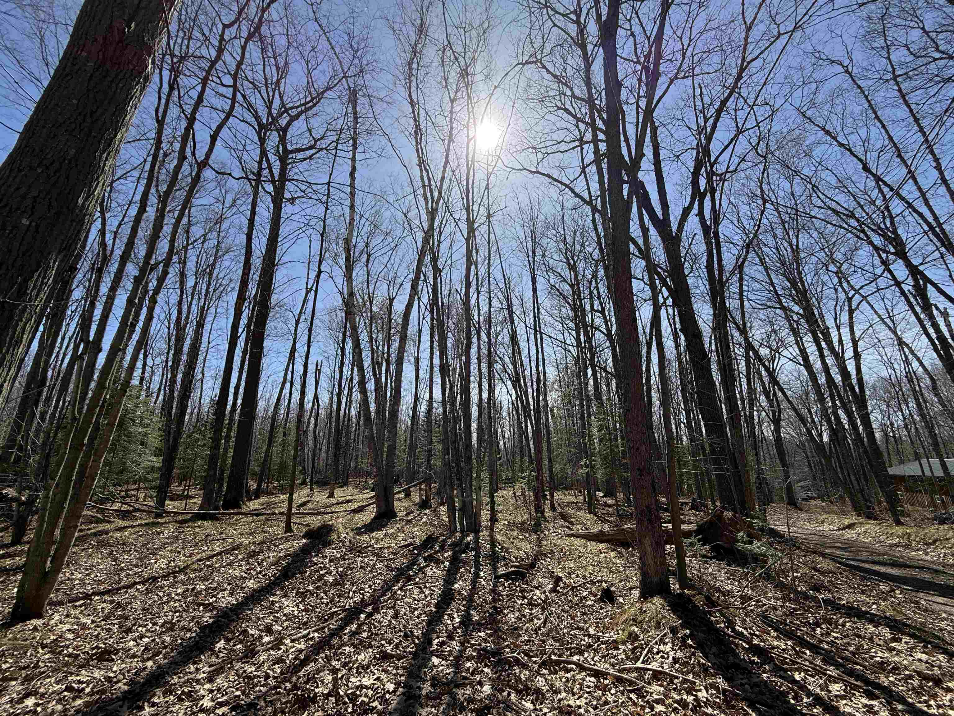 Lot #4 Allen Road Crandon, WI 54520 - Photo 5 of 7