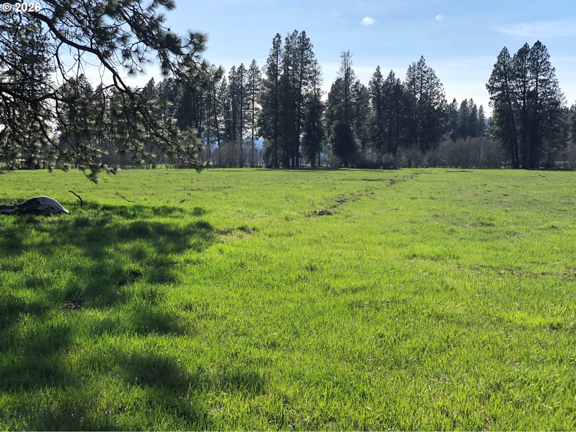 24 Bacon Creek Road Glenwood, WA 98619 - Photo 43 of 48 a view of a field with trees in the background