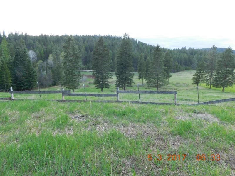553 Geesaman Road Colville, WA 99114 - Photo 3 of 12