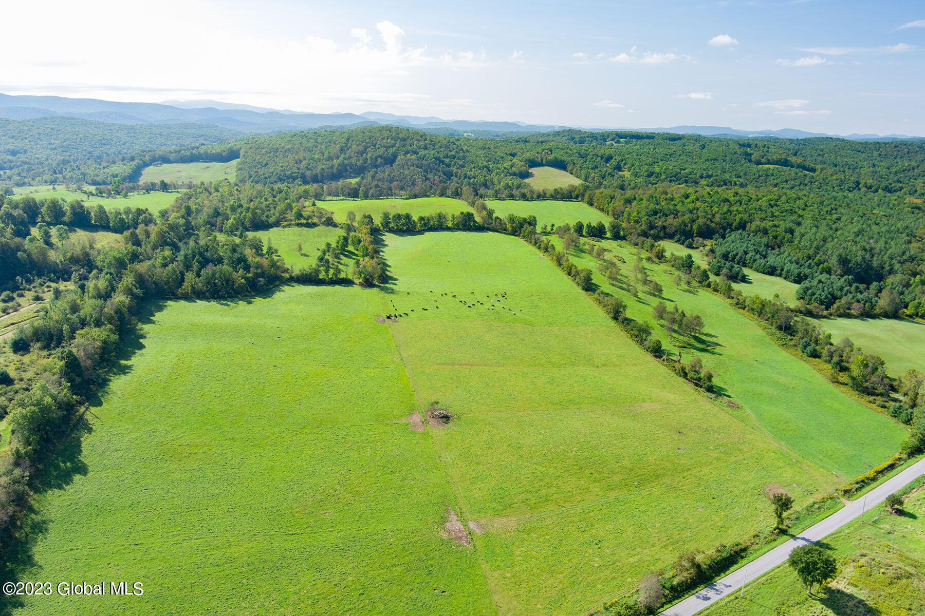 333 Tiplady Road Salem, NY 12865 - Photo 19 of 42 #1 CJ-land
