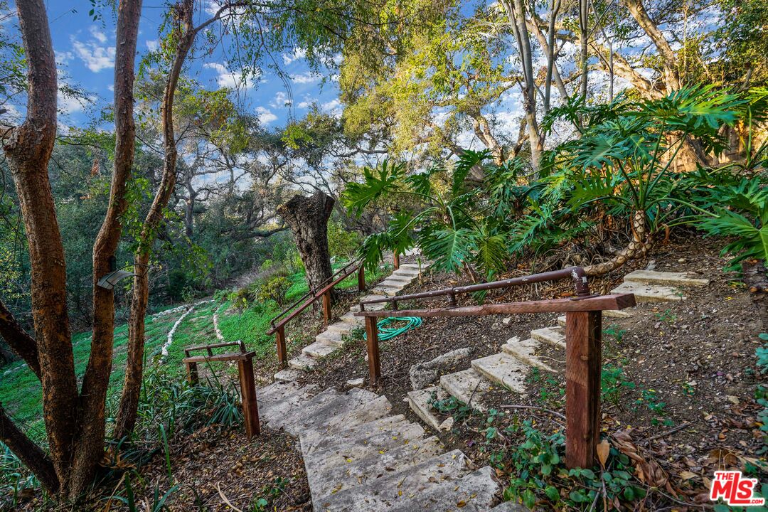20881 Waveview Drive Topanga, CA 90290 - Photo 24 of 54 a view of tree