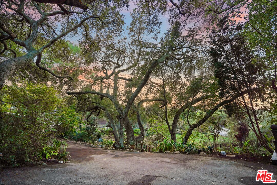 20881 Waveview Drive Topanga, CA 90290 - Photo 54 of 54