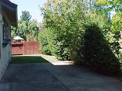 7273 Roxanne Lane Rohnert Park, CA 94928 - Photo 8 of 9 a view of outdoor space and yard