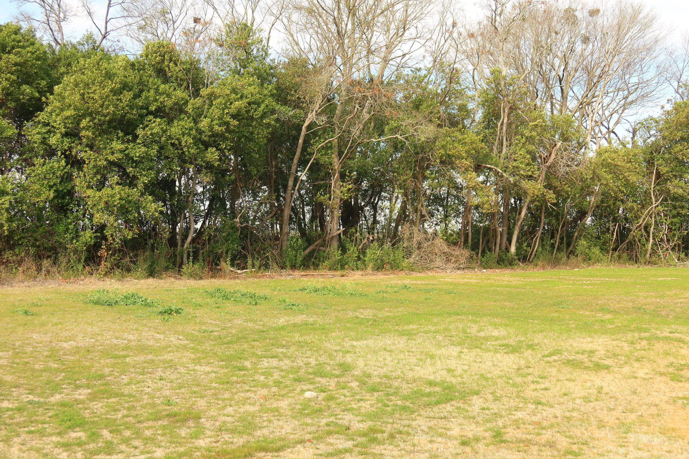 190 Avocada Drive Santee, SC 29142 - Photo 16 of 16 IMG_0810