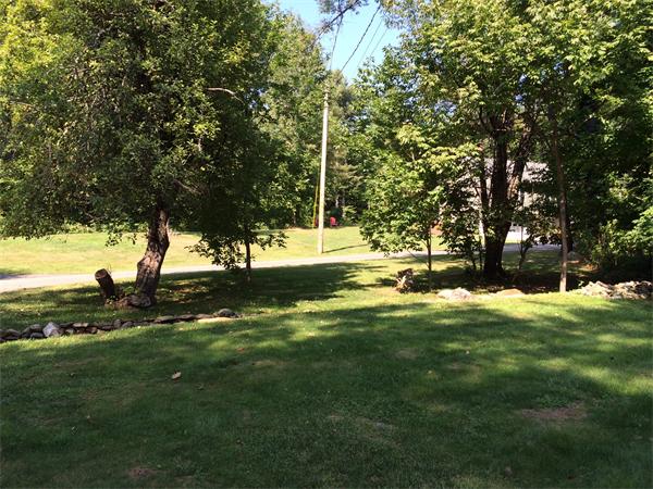 240 Pleasantdale Road Rutland, MA 01543 - Photo 23 of 25 a view of a yard with a tree