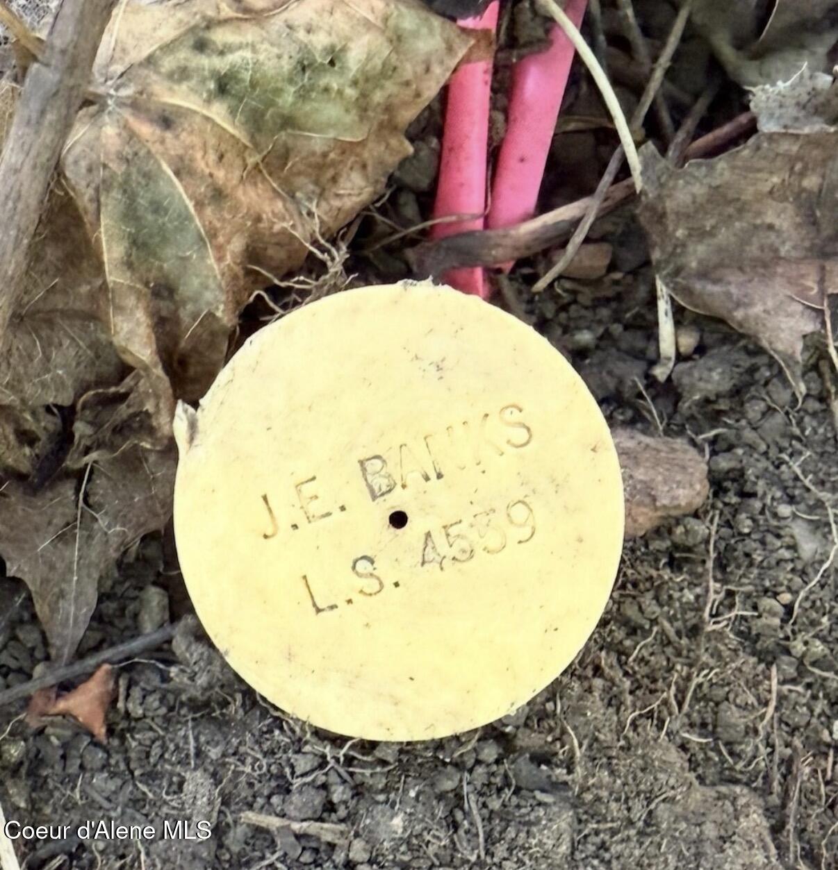 827 South Division Street Kellogg, ID 83837 - Photo 8 of 11 Survey Pin On-Site