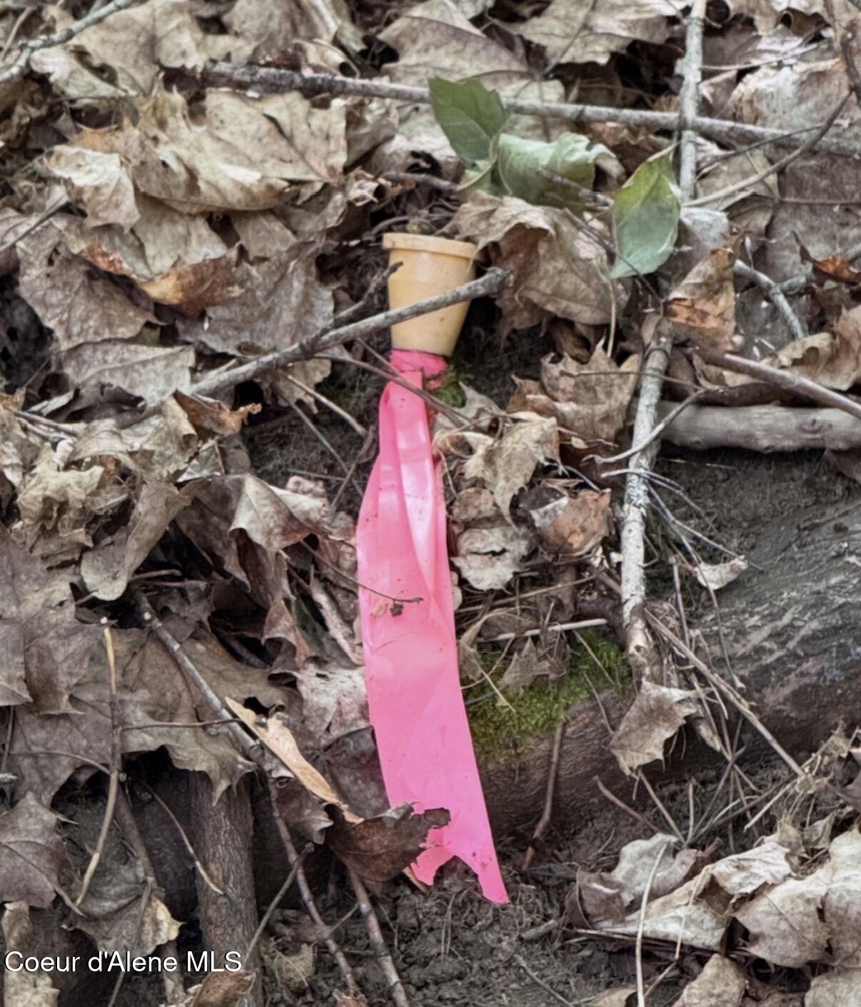 827 South Division Street Kellogg, ID 83837 - Photo 10 of 11 Survey Pin On-Site