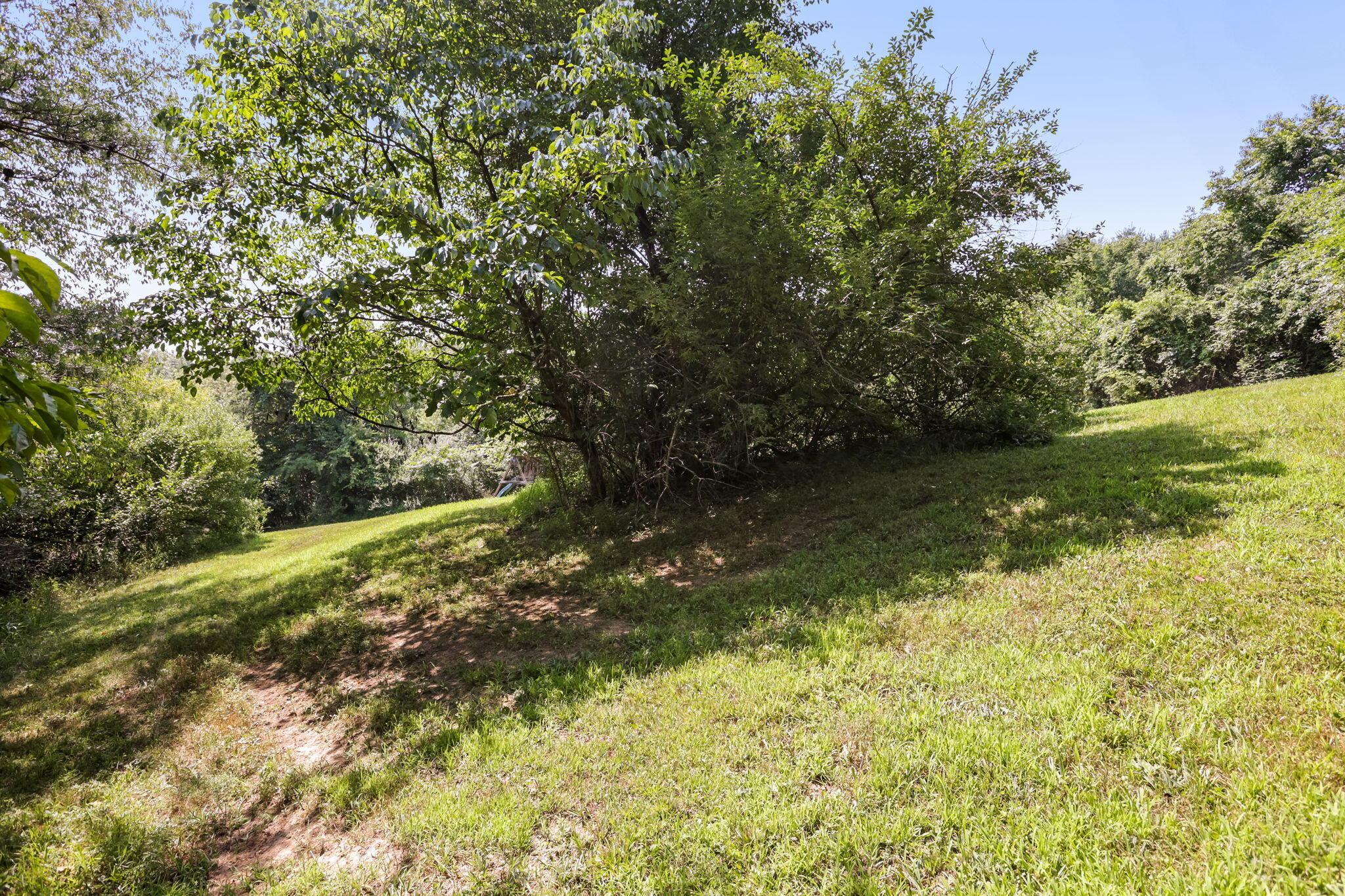 5595 Sheets Road Logan, OH 43138 - Photo 62 of 150 65-web-or-mls-LO5A0696