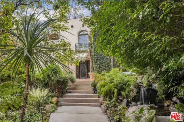 a view of a garden with plants