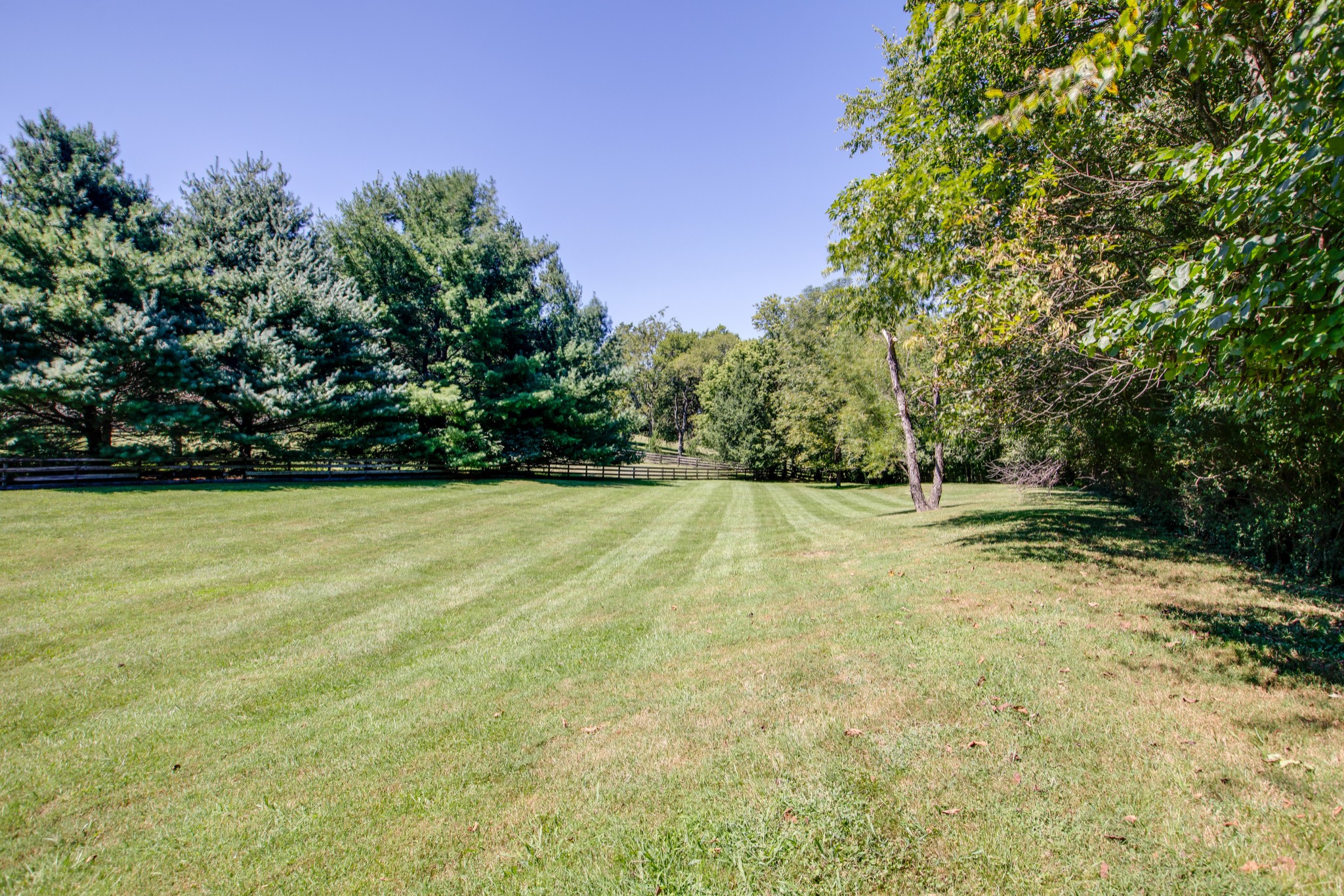 1106 Cedarview Lane Franklin, TN 37067 - Photo 26 of 28 a view of a yard with an outdoor space