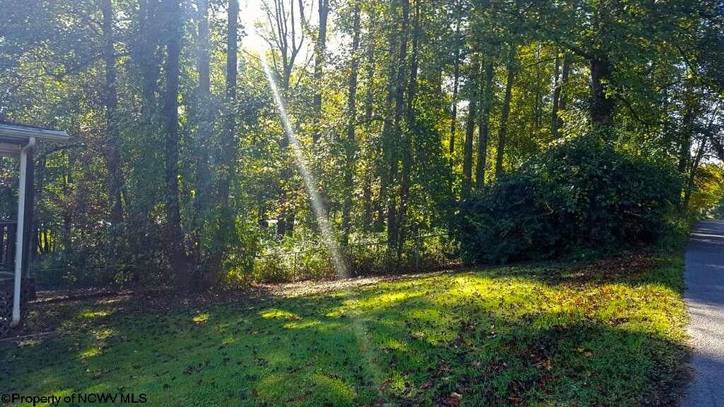 1163 Suds Run Road Mount Clare, WV 26408 - Photo 4 of 10 Gallery Image 4