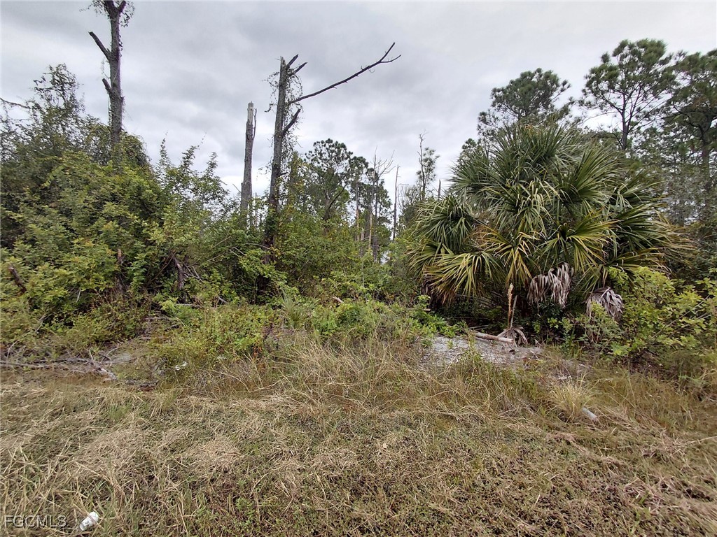 287 Avenida Del Sur Clewiston, FL 33440 - Photo 3 of 16 a view of a yard